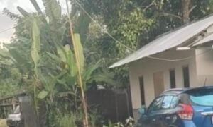Dituding Timbun Solar, Yulinda Tempuh Jalur Hukum
