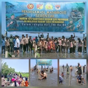 Hijaukan Pesisir, Kodim 1302/Minahasa Tanam Ratusan Mangrove di Arakan Sambut HUT ke-80 TNI