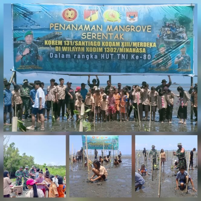 
					Hijaukan Pesisir, Kodim 1302/Minahasa Tanam Ratusan Mangrove di Arakan Sambut HUT ke-80 TNI