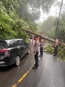 Gerak Cepat Polsek Toulimambot dan BPBD Minahasa Buka Akses Jalan Usai Pohon Tumbang di Tonsea Lama