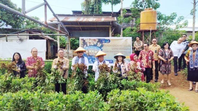 
					Lapas Tondano Panen Kacang Batik Dukung Ketahanan Pangan Nasional