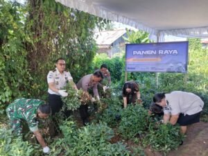 Pembinaan Berkelanjutan, Lapas Tondano Petik Hasil Panen Raya Kacang