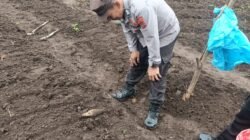 Mortir Tua Ditemukan di Kebun Warga, Tim Gegana Bergerak Cepat Musnahkan di Lokasi