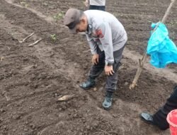 Mortir Tua Ditemukan di Kebun Warga, Tim Gegana Bergerak Cepat Musnahkan di Lokasi