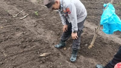 Mortir Tua Ditemukan di Kebun Warga, Tim Gegana Bergerak Cepat Musnahkan di Lokasi