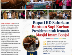 Bupati RD Salurkan Bantuan Sapi Kurban Presiden untuk Jemaah Masjid Imam Bonjol
