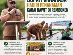 Bupati Minahasa Hadiri Penanaman Cabai Rawit di Remboken