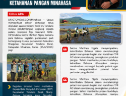Babinsa Koramil Tondano Dampingi Petani Tanam Padi, Perkuat Ketahanan Pangan Minahasa