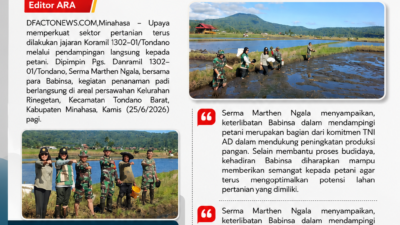 Babinsa Koramil Tondano Dampingi Petani Tanam Padi, Perkuat Ketahanan Pangan Minahasa