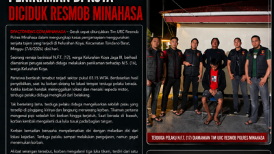 Remaja Terduga Pelaku Penikaman di Koya Diciduk Resmob Minahasa