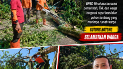 BPBD Minahasa Sigap Evakuasi Pohon Tumbang Timpa Rumah di Pineleng Dua