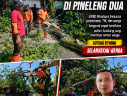 BPBD Minahasa Sigap Evakuasi Pohon Tumbang Timpa Rumah di Pineleng Dua