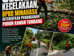 Cegah Kecelakaan, BPBD Minahasa Intensifkan Penanganan Pohon Rawan Tumbang