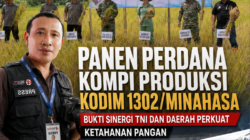 Panen Perdana Kompi Produksi Kodim 1302/Minahasa Bukti Sinergi TNI dan Daerah Perkuat Ketahanan Pangan