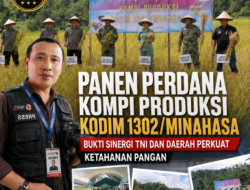 Panen Perdana Kompi Produksi Kodim 1302/Minahasa Bukti Sinergi TNI dan Daerah Perkuat Ketahanan Pangan