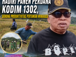 Bupati Robby Dondokambey Hadiri Panen Perdana Kodim 1302, Dorong Produktivitas Pertanian Minahasa