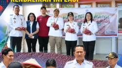 PANEN BAWANG MERAH DI LANGOWAN, WABUP MINAHASA DORONG PANGAN LOKAL UNTUK KENDALIKAN INFLASI